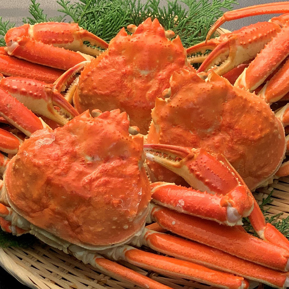 750gの特大サイズ！！食べ応え十分！！！ カナダ産、本ずわい蟹を送料