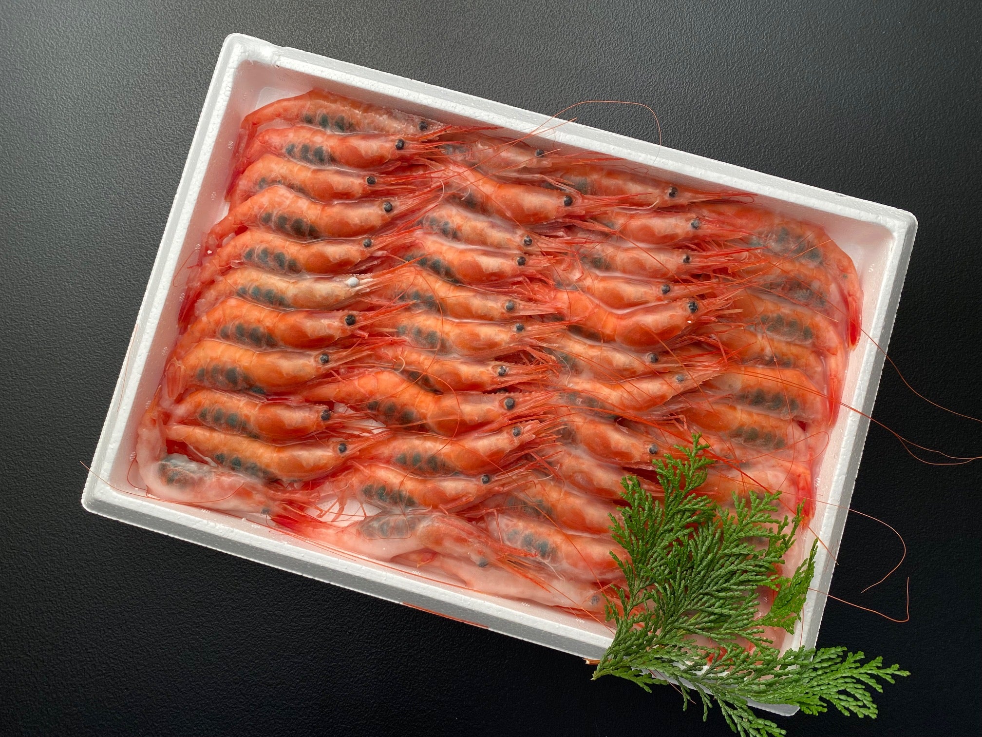 【山陰産】【送料無料】中サイズ甘えび子持ち『刺身用』約750ｇ　約44～48匹　兵庫県浜坂港水揚げ海老　船上冷凍　冷凍発送商品