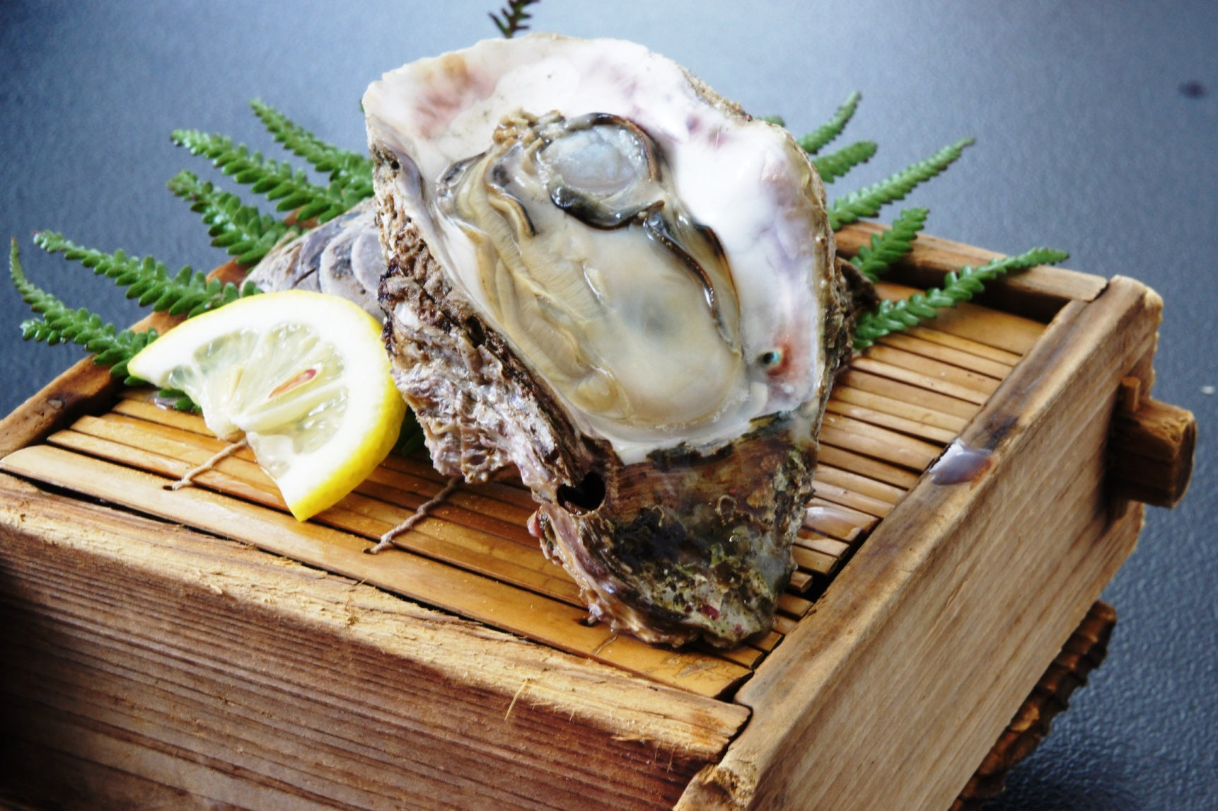 【送料無料】【冷凍発送】豪華海鮮セット　伊勢海老・あわび・岩ガキ　　BBQ　バーベキュー　浜焼きセット